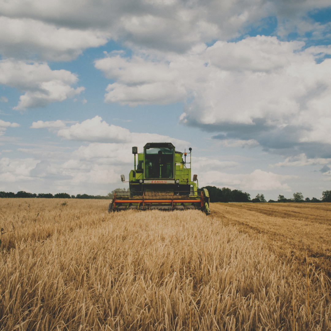 Hay and Harvest